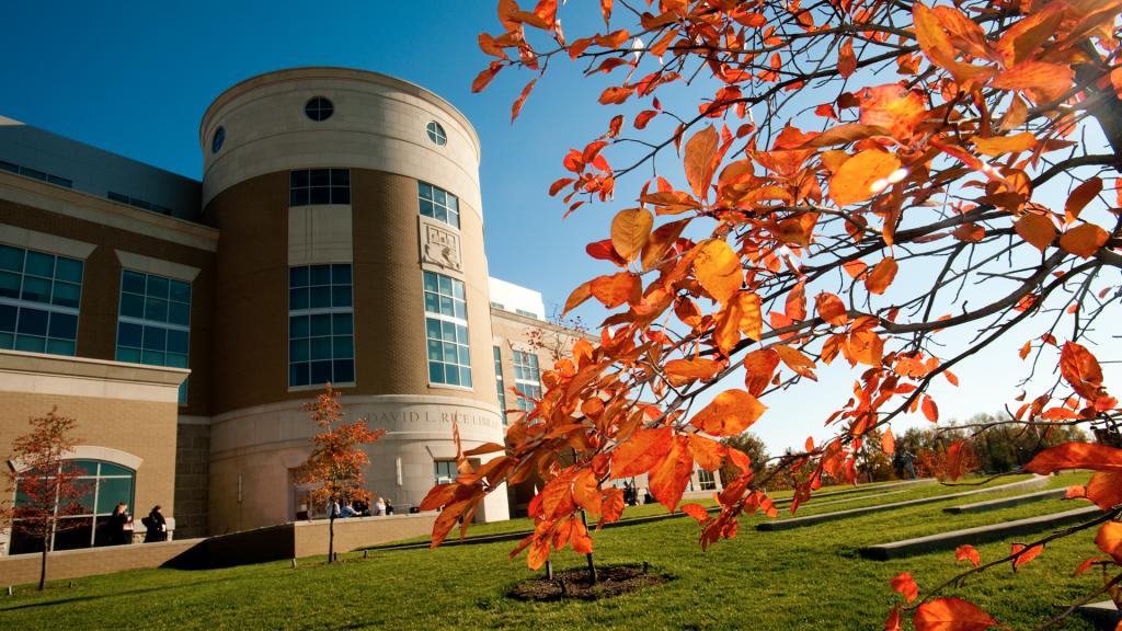 Library Photos